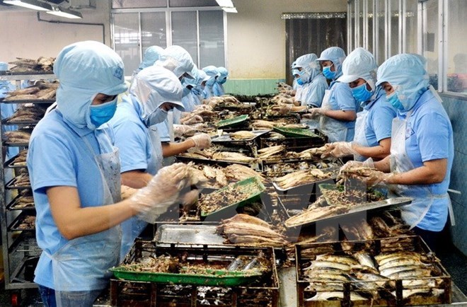 附圖：2018年前兩月越南水產(chǎn)品出口額同比增長近30%。（圖片來源：越通社）